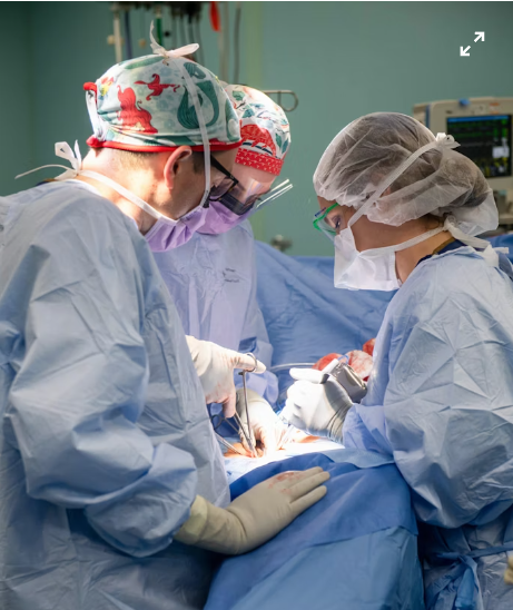 Mengenal Peran Penting Orthopedic Surgeon Doctor dalam Dunia Kesehatan